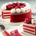 Tegral Satin Cake Red Velvet  Puratos - 5Kg - Image 3