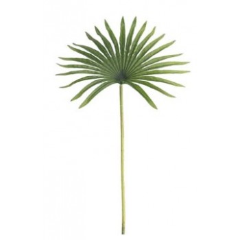 Decoração Folha Palmeira - 50cm