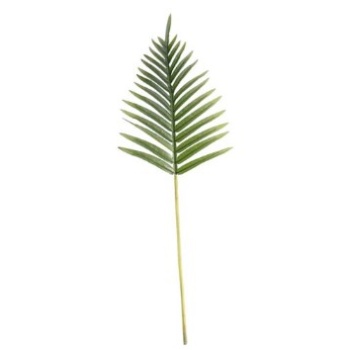 Decoração Folha Palmeira - 65cm