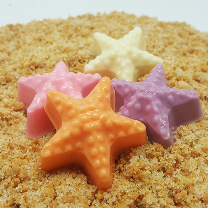 Molde de Chocolate Especial 3 Partes - Estrelas do Mar - Image 1