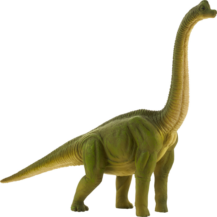 Boneco Miniatura Dinossauro Brachiosaurus - Image 1