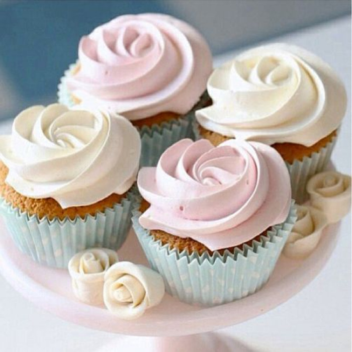 Conj. Wilton Aprendendo Decorar Cupcake - Image 2