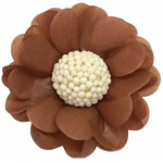 Forminhas de Papel Seda Flor Castanho - Pack 12