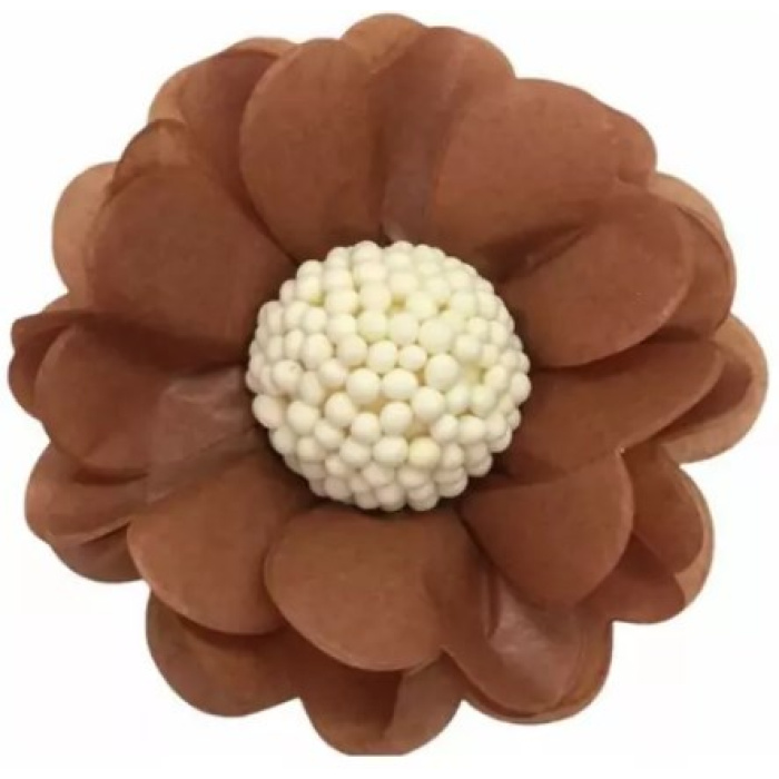 Forminhas de Papel Seda Flor Castanho - Pack 12 - Image 1