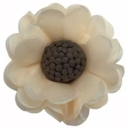 Forminhas de Papel Seda Flor Creme - Pack 12