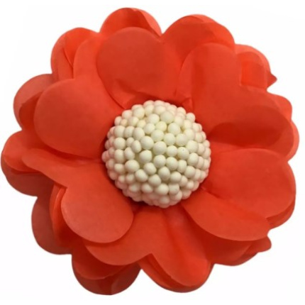 Forminhas de Papel Seda Flor Laranja - Pack 12