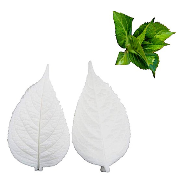Molde Silicone Folhas de Hortense - Image 1