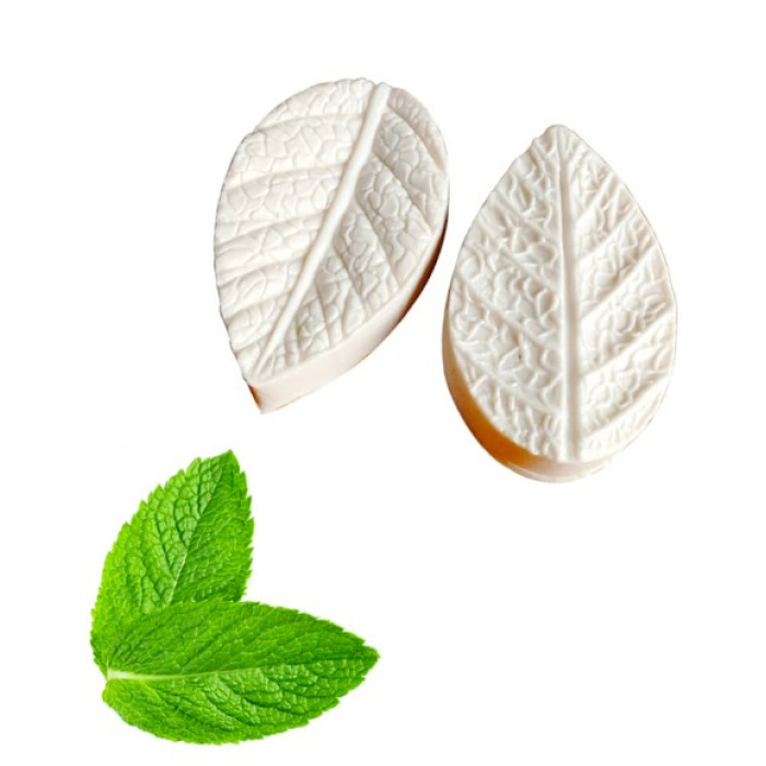 Molde Silicone Folhas de Menta - Image 1