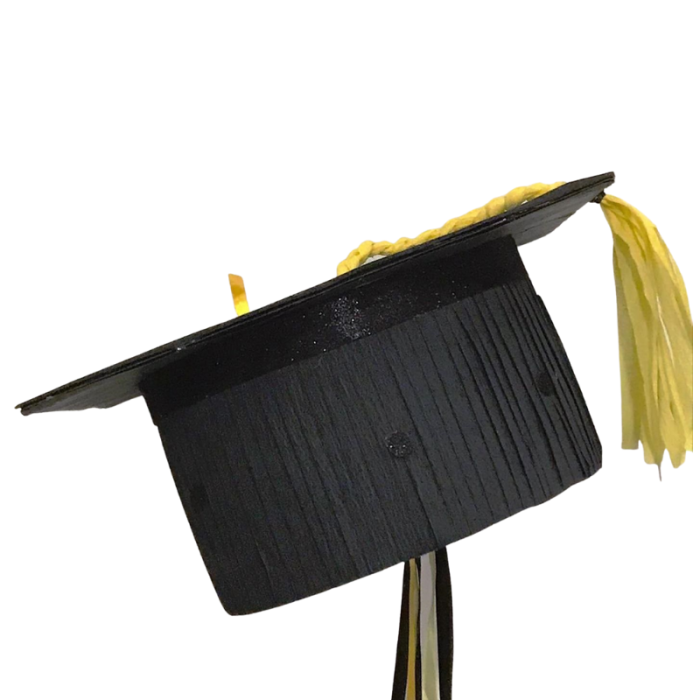 Pinhata Chapéu Formatura - Image 2