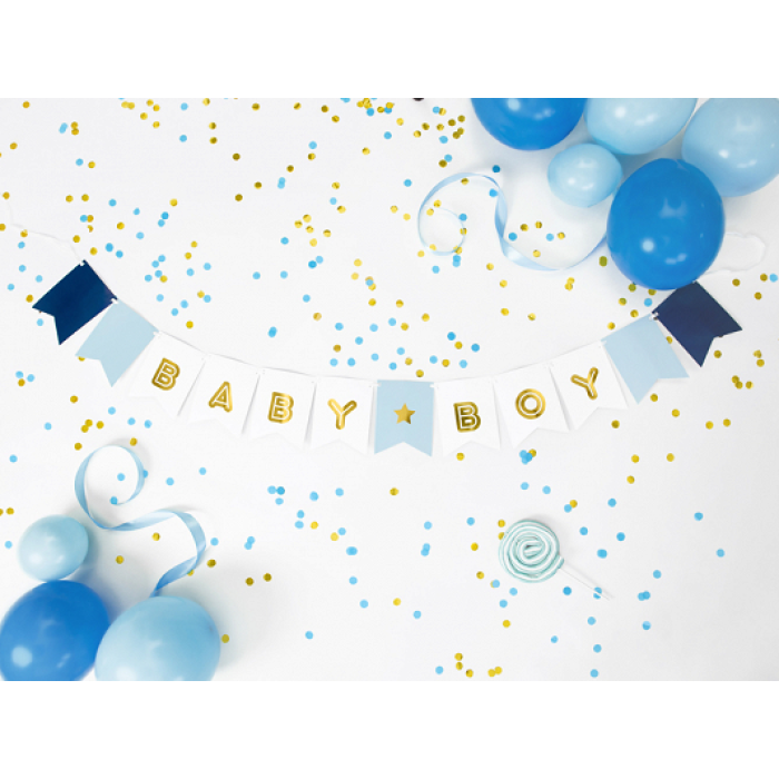 Banner Baby Boy Azul - Image 4