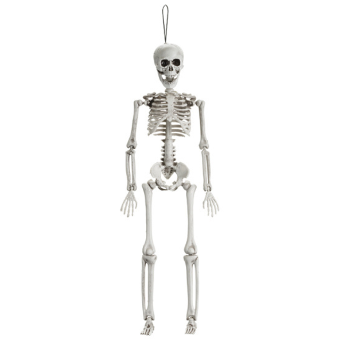 Esqueleto HALLOWEEN - Image 1