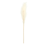 Folha Pampas Artificial 110cm