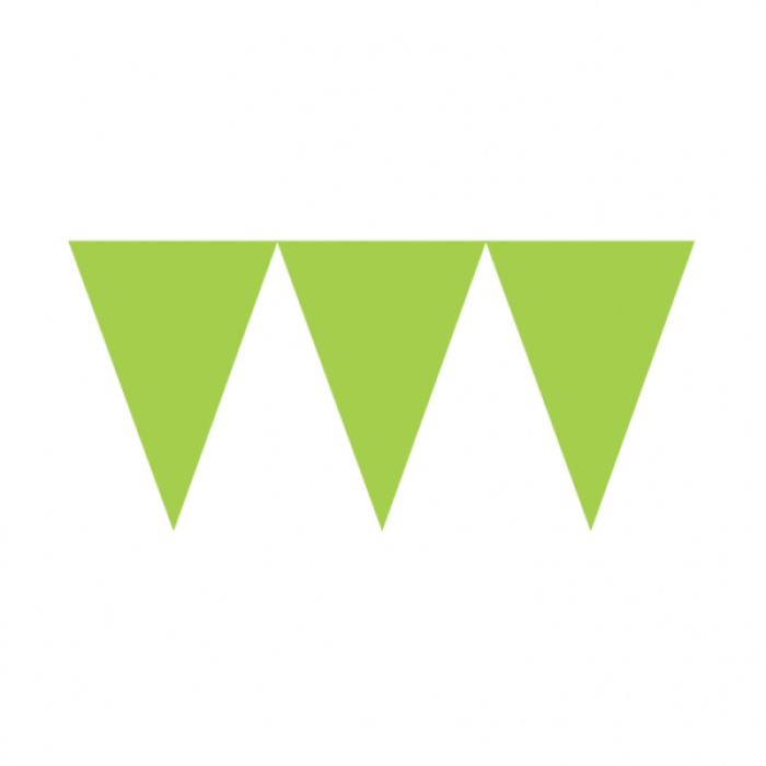 Banner Liso Verde - Image 1