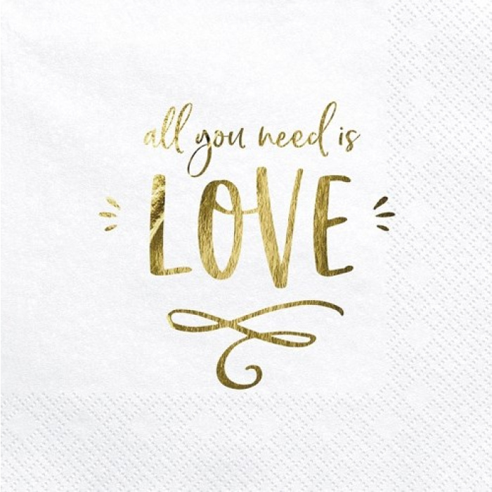 Guardanapos all you need is LOVE - Pack 20 - Image 1