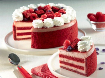 Tegral Satin Cake Red Velvet  Puratos - 5Kg - Image 2