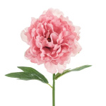 Flor Artificial - Peônia, 35cm ( Rosa )