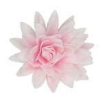 Flores Comestíveis Peónia Wafer